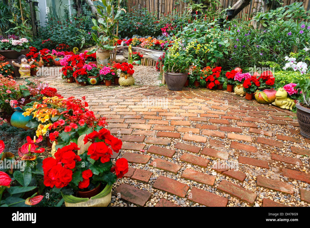 Gewächshaus für den intensiven Anbau von Blütenpflanzen Stockfoto