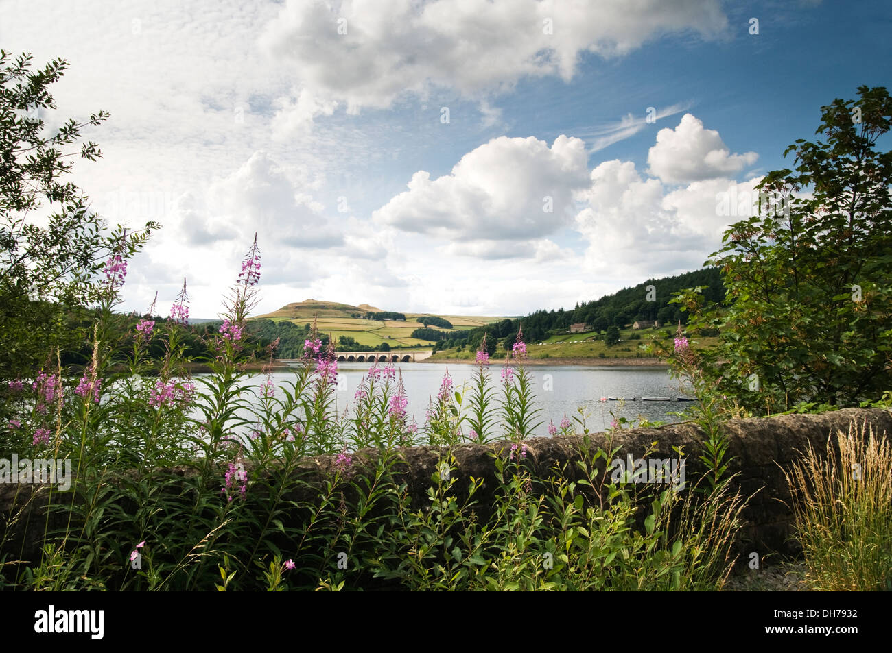 über die Ladybower in voller Blüte Stockfoto