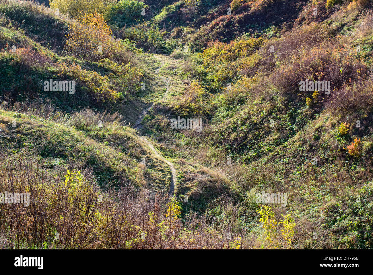 Bunt tiefe Schlucht fallen und gewundenen Pfad Stockfoto