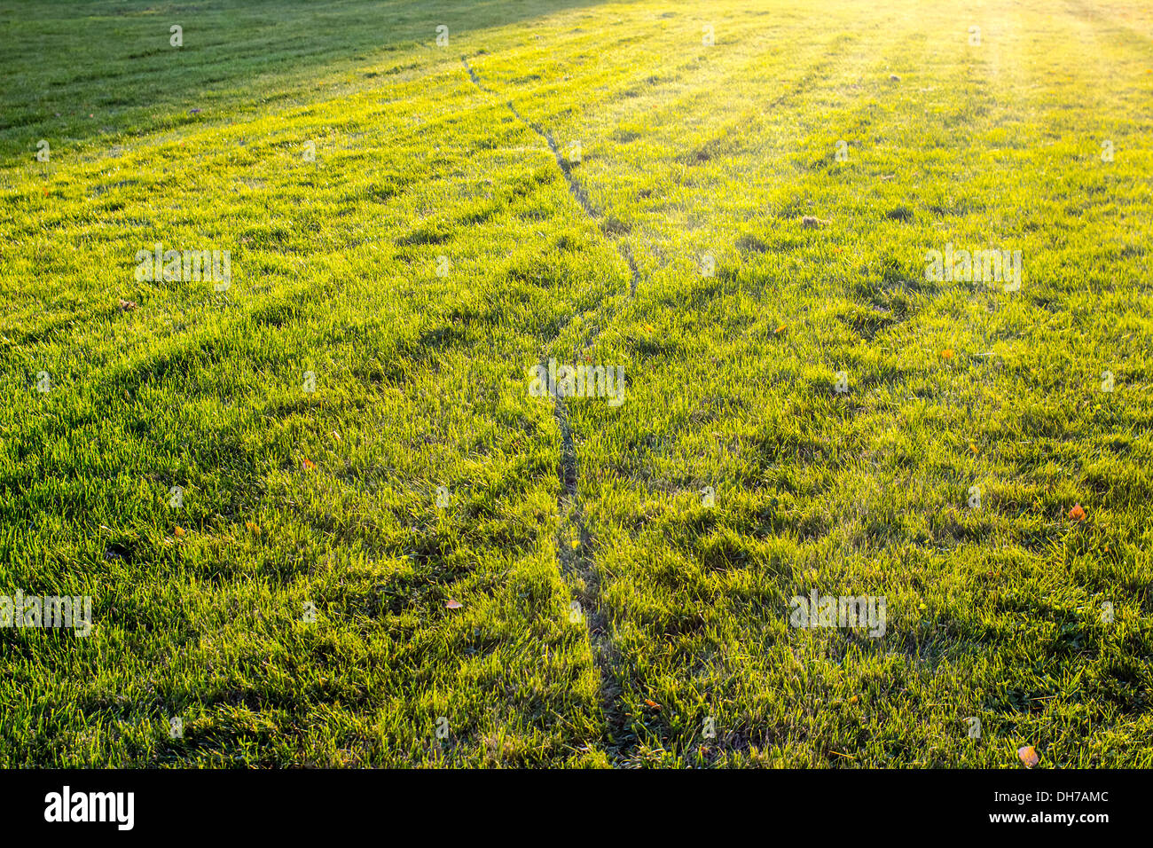 Rasenfläche und der Radweg von der hellen Sonne bei Sonnenuntergang beleuchtet Stockfoto