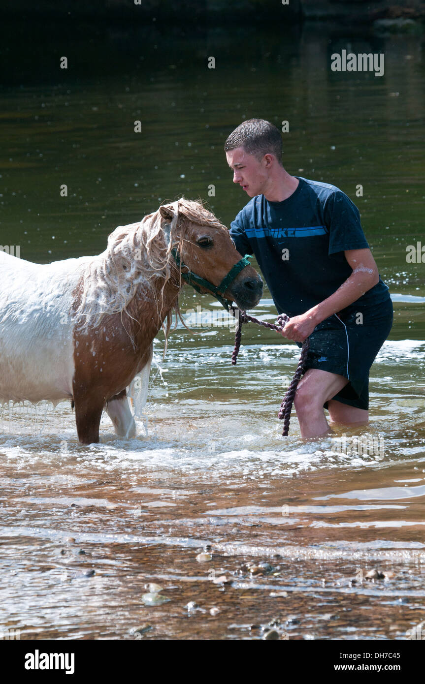 Reisende, die ihre Pferde bei der jährlichen Appleby anzeigen Pferd Messe, Cumbria, UK Stockfoto