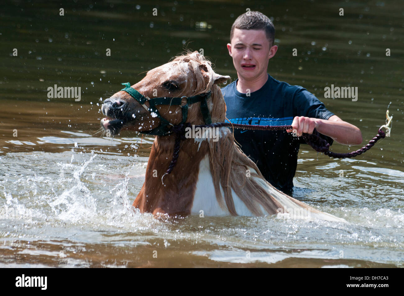 Reisende, die ihre Pferde bei der jährlichen Appleby anzeigen Pferd Messe, Cumbria, UK Stockfoto