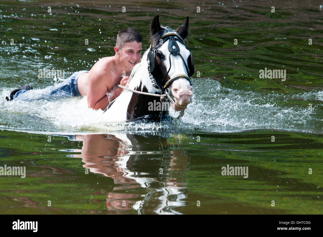 Reisende, die ihre Pferde bei der jährlichen Appleby anzeigen Pferd Messe, Cumbria, UK Stockfoto