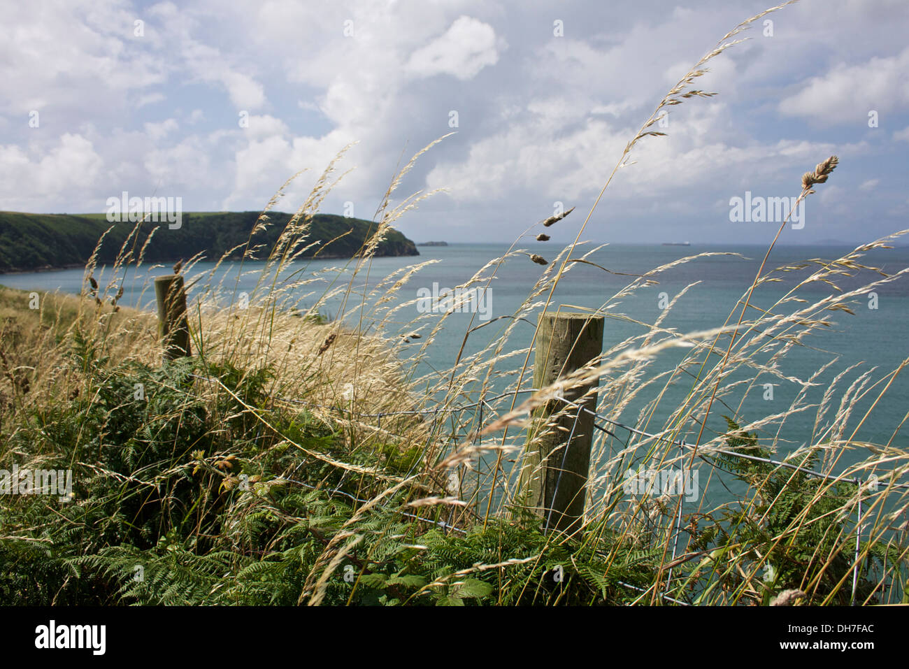 Holzzaun Beiträge auf einer Klippe mit Blick auf das Meer. Stockfoto