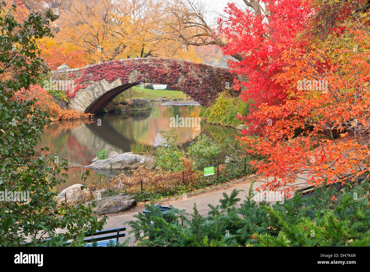 Gapstow Brücke über den Central Park-Teich in roten Efeu bedeckt und umgeben von wunderschönen Herbstfarben in New York City Stockfoto