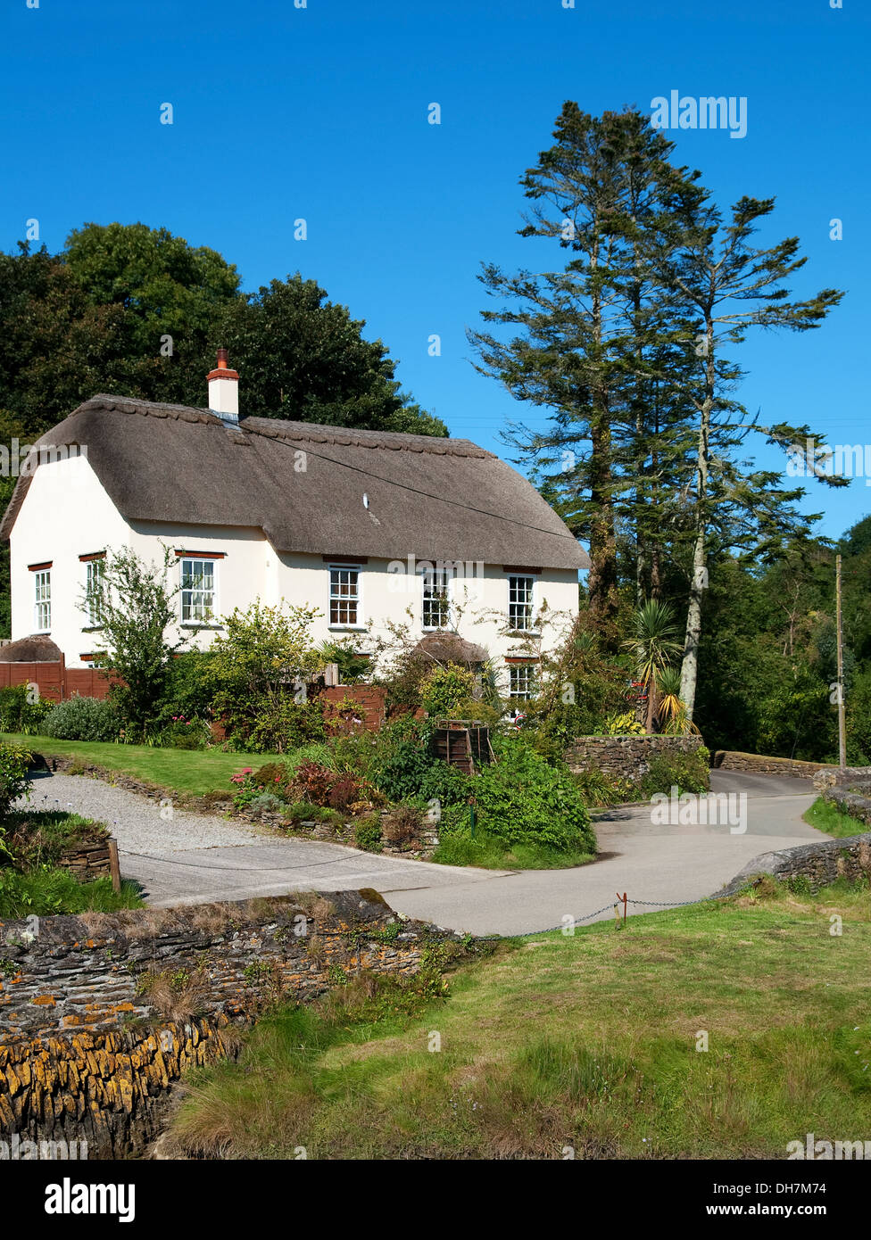Ein Reetdachhaus in Cornwall, Großbritannien Stockfoto