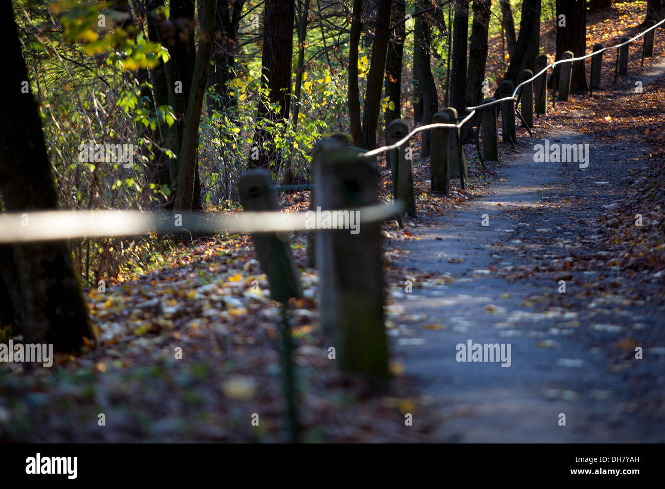 Herbstweg durch den Wald entlang der Geländer Stockfoto