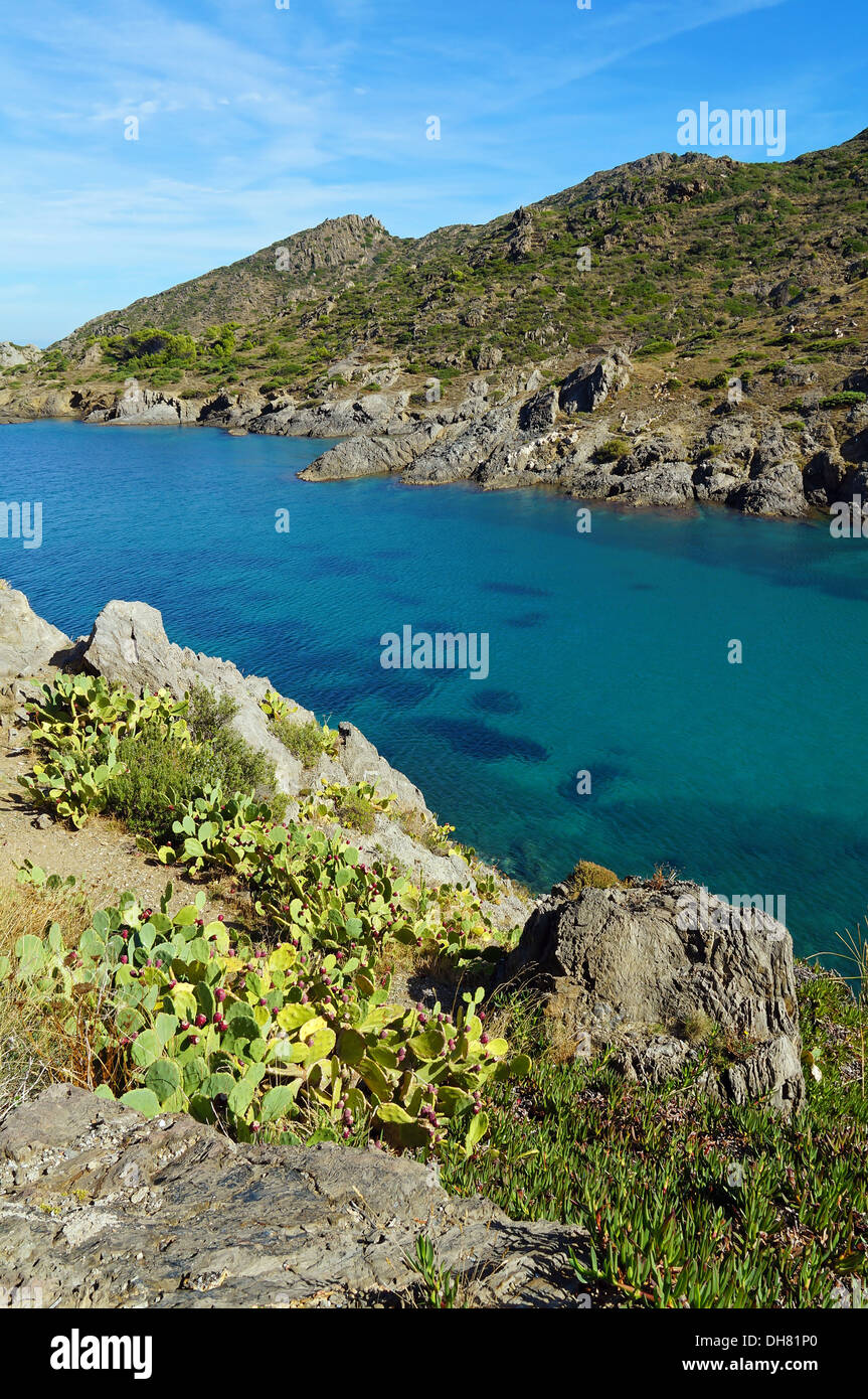 Bucht mit klarem Wasser im Mittelmeer, Tamariu, Puerto De La Selva, Costa Brava, Katalonien, Spanien Stockfoto
