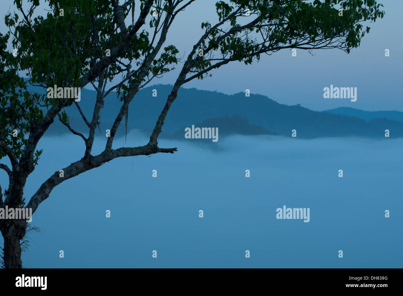 Die nebligen, nebligen Regenwald in Bokeo Naturschutzgebiet von einem Baumhaus in The Gibbon Experience in der Nähe von Huay Xai, Laos gesehen. Stockfoto