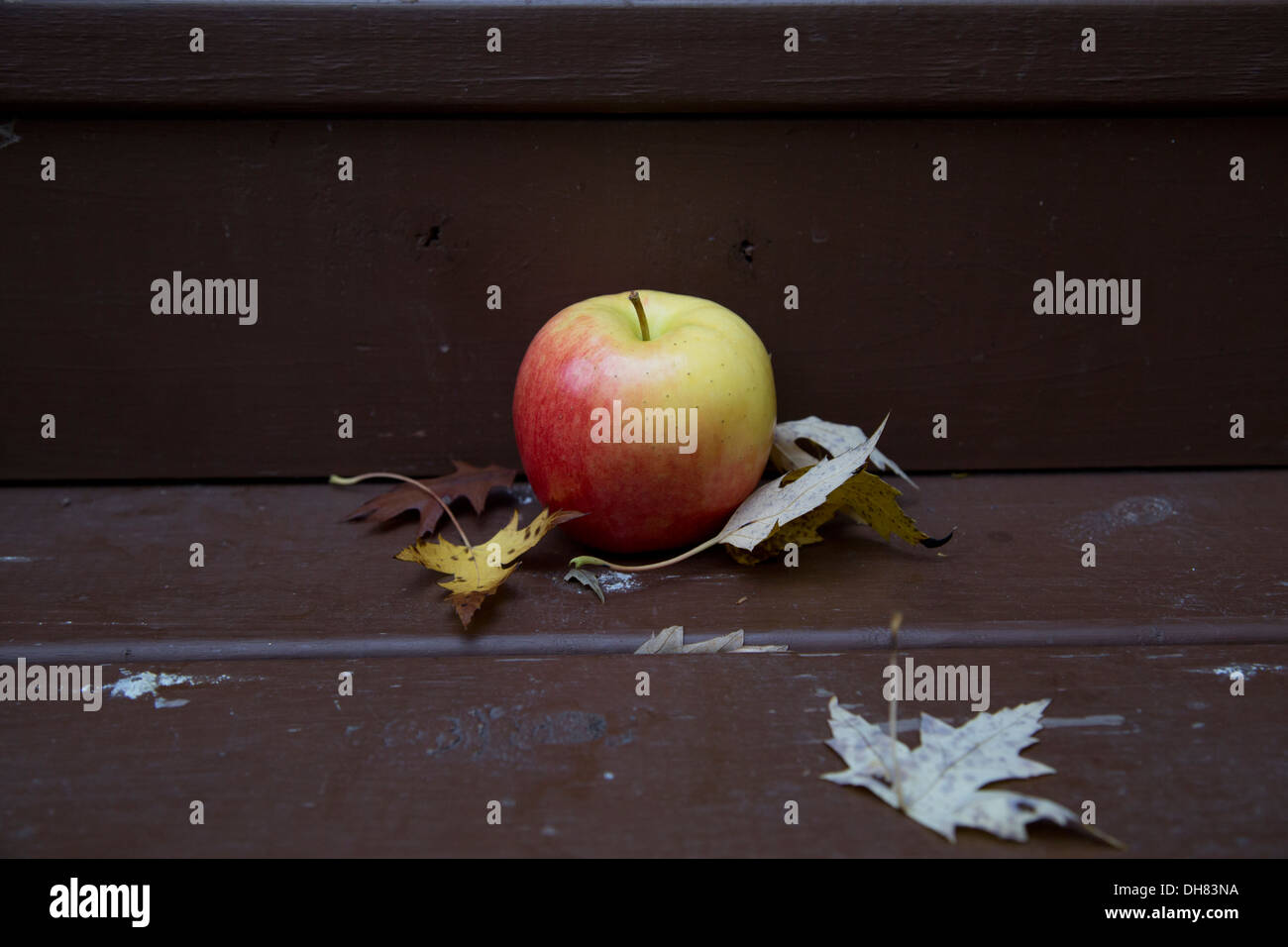 Apfel rot gelb Holztreppen Frucht Früchte Blätter Ahorn Stockfoto