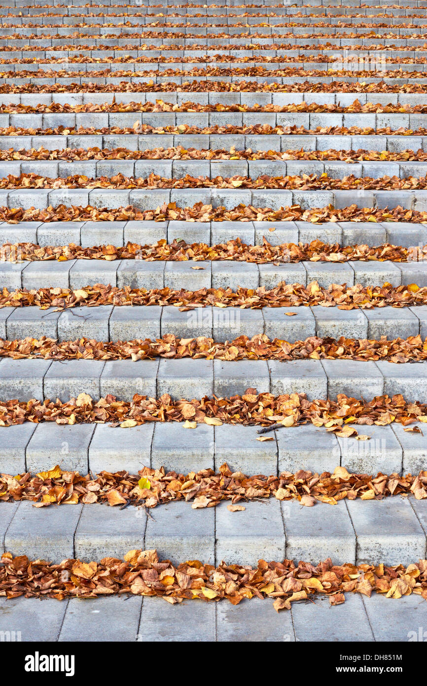Herbstblätter auf der Betontreppen Stockfoto