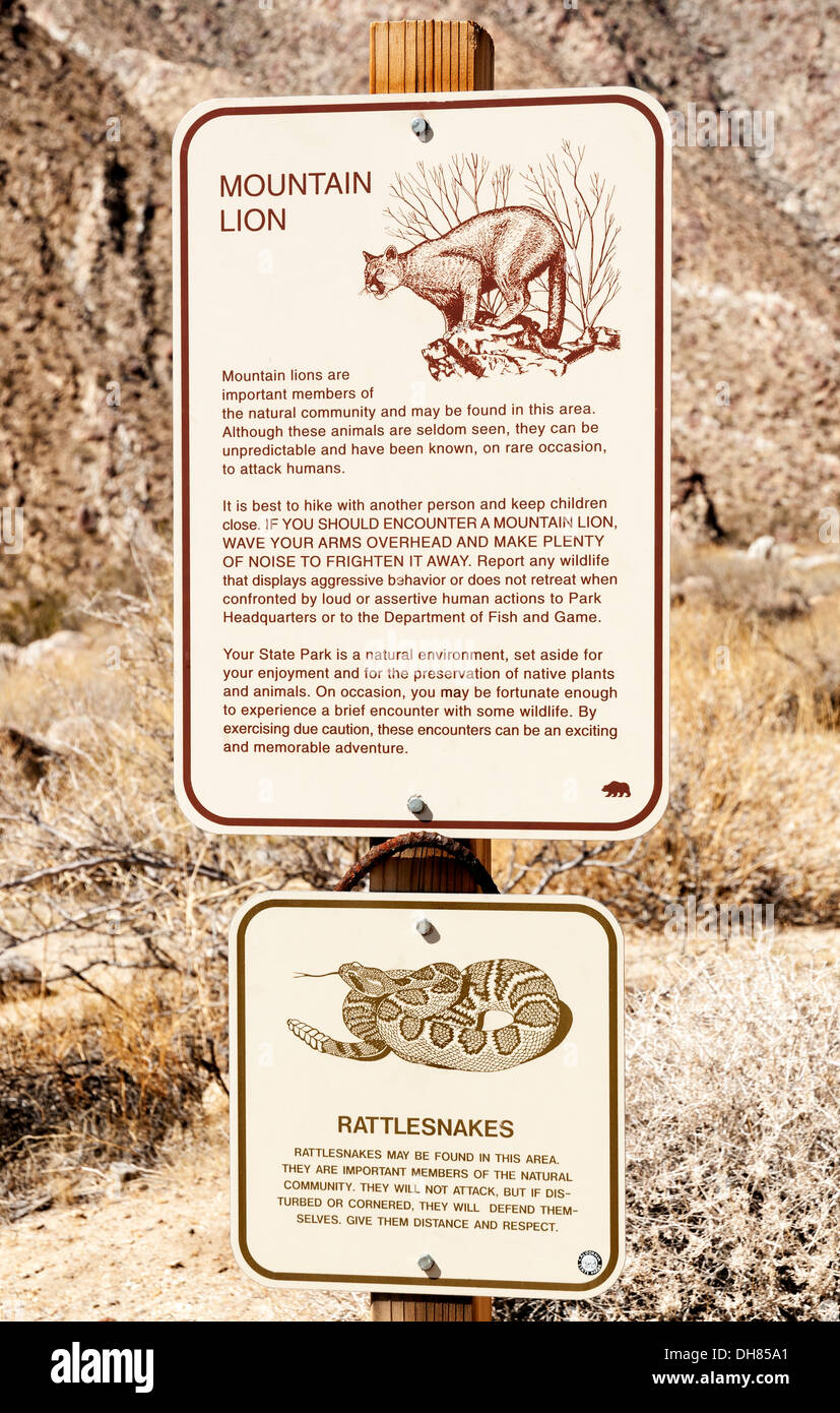California, San Diego County, Anza-Borrego Desert State Park, Borrego Palm Canyon Trail, Berglöwe Klapperschlange Warnung melden Stockfoto