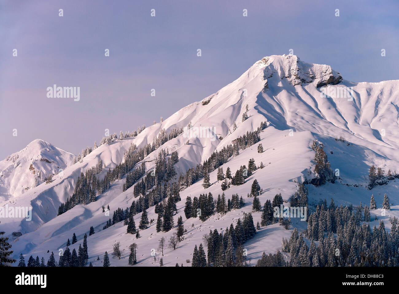 Rether Kopf Berg, gesehen vom Unterautal Tal, Karwendelgebirge, Achenkirch, Tirol, Österreich Stockfoto