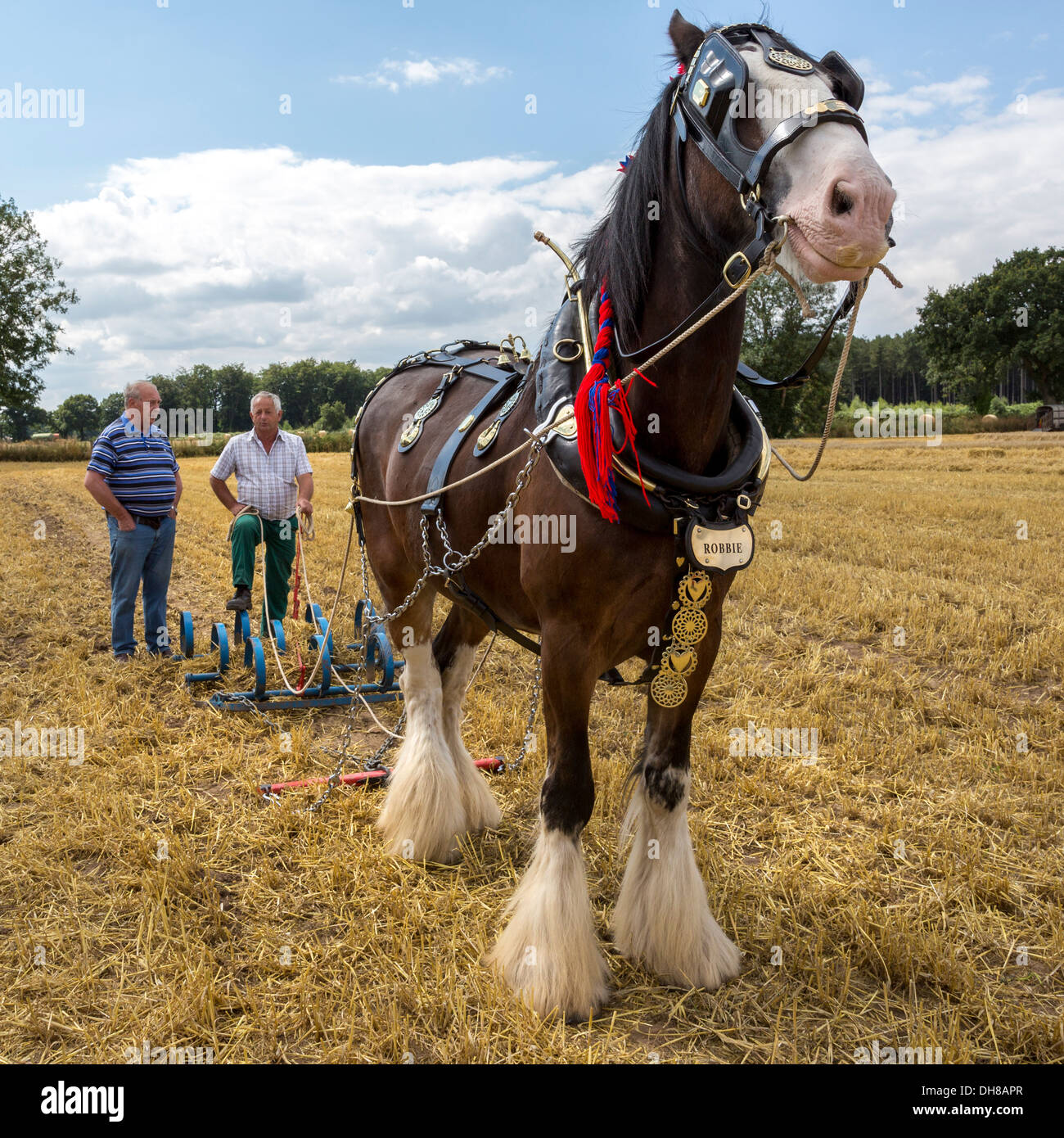 Pferdekutsche Pflügen Demonstration an den Start behandeln Clubtreffen, Norfolk, Großbritannien. Stockfoto