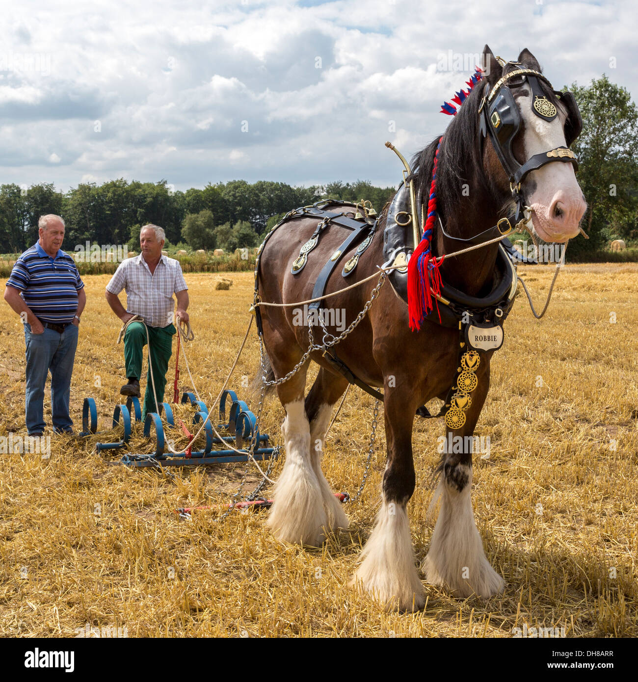 Pferdekutsche Pflügen Demonstration an den Start behandeln Clubtreffen, Norfolk, Großbritannien. Stockfoto