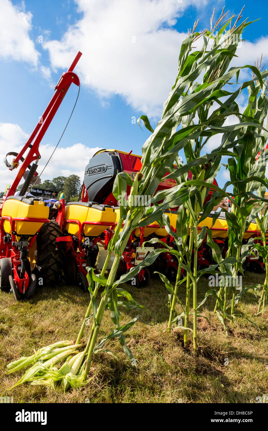 Mais und erntende Maschinen auf dem Display an der Aylsham Agricultural Show, Norfolk, Großbritannien. Stockfoto