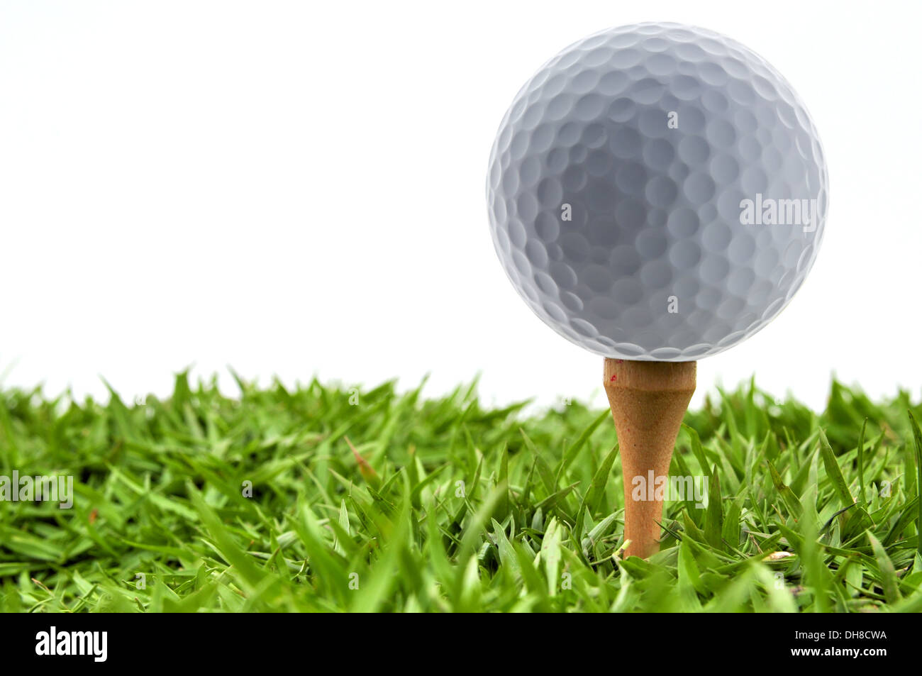 Golfball und Rasen Stockfoto