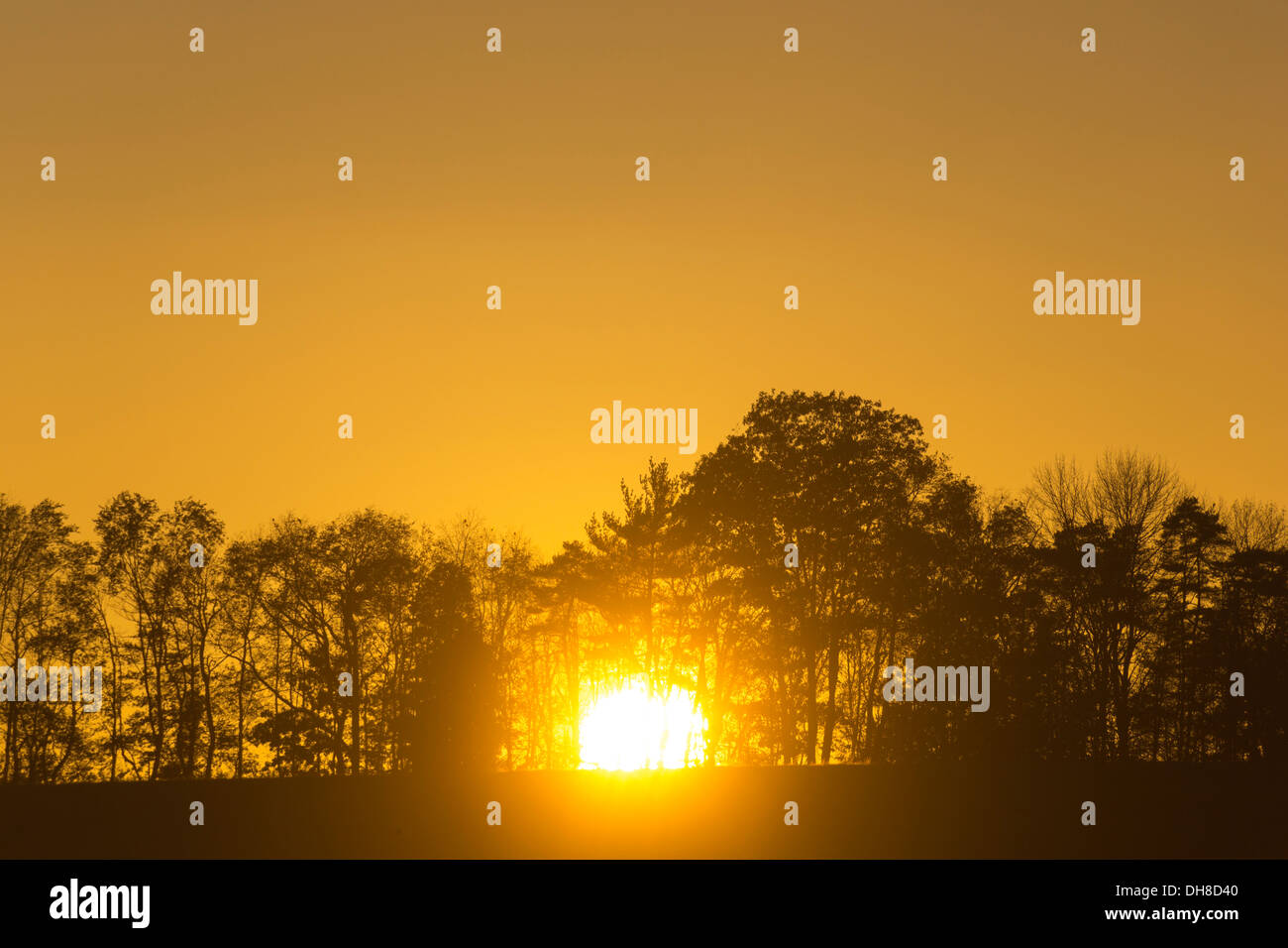 SONNENUNTERGANG ÜBER BERGRÜCKEN BÄUME JEFFERSON COUNTY PENNSYLVANIA USA Stockfoto