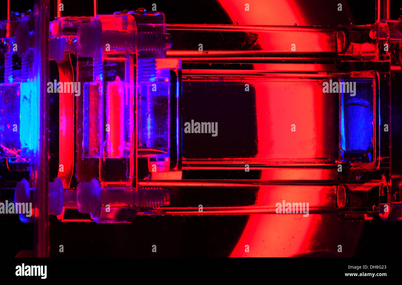 Nahaufnahme der Innenkammer zur Nachverfolgung des Schwimmens einzelner Zellorganismen wie Algen im Rotlicht. Biokraftstoff Energie- und Umweltforschung Stockfoto