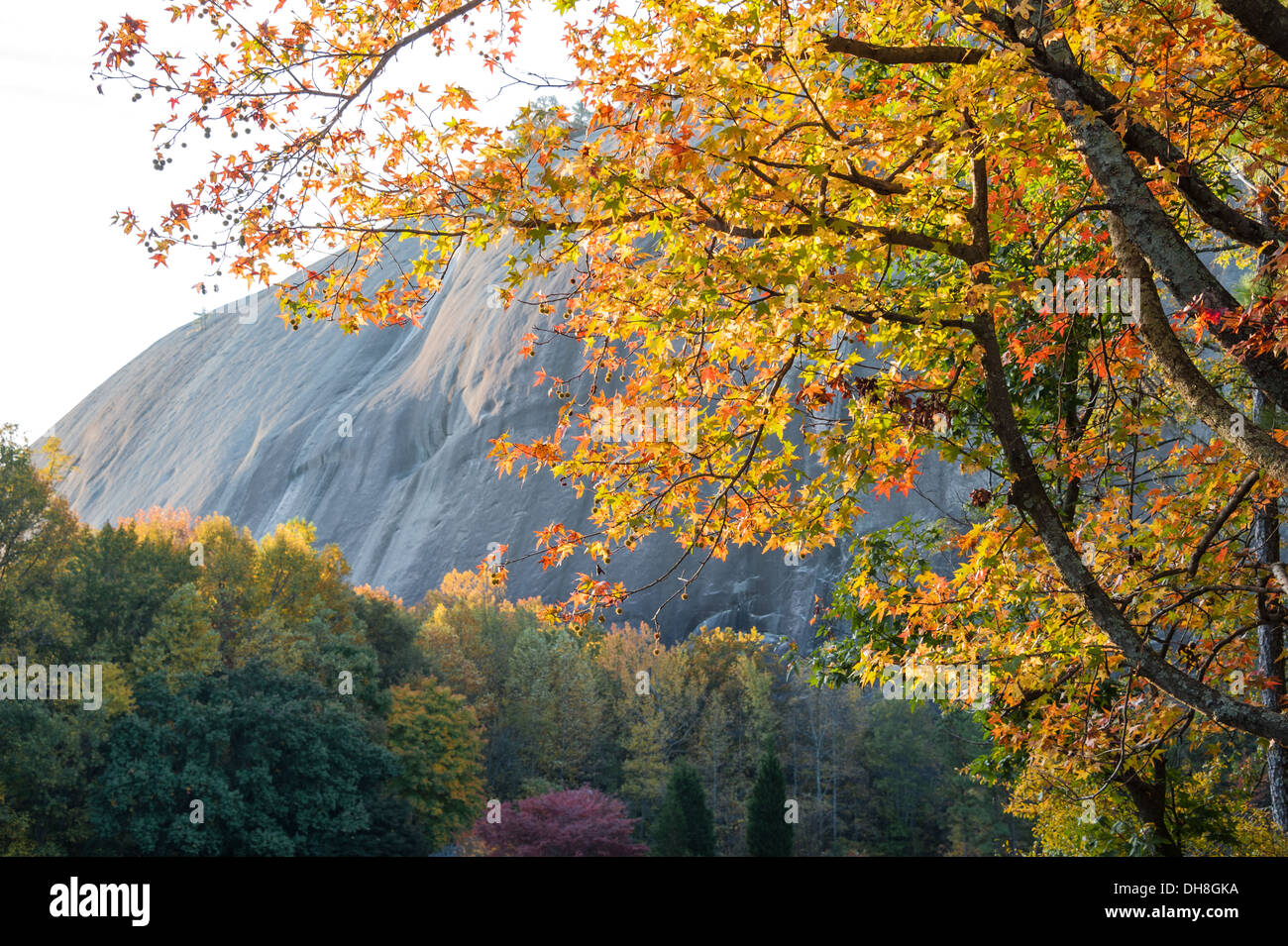 Kurz nach Sonnenaufgang an einem wunderschönen, farbenfrohen Herbstmorgen im Stone Mountain Park in der Nähe von Atlanta, Georgia. (USA) Stockfoto