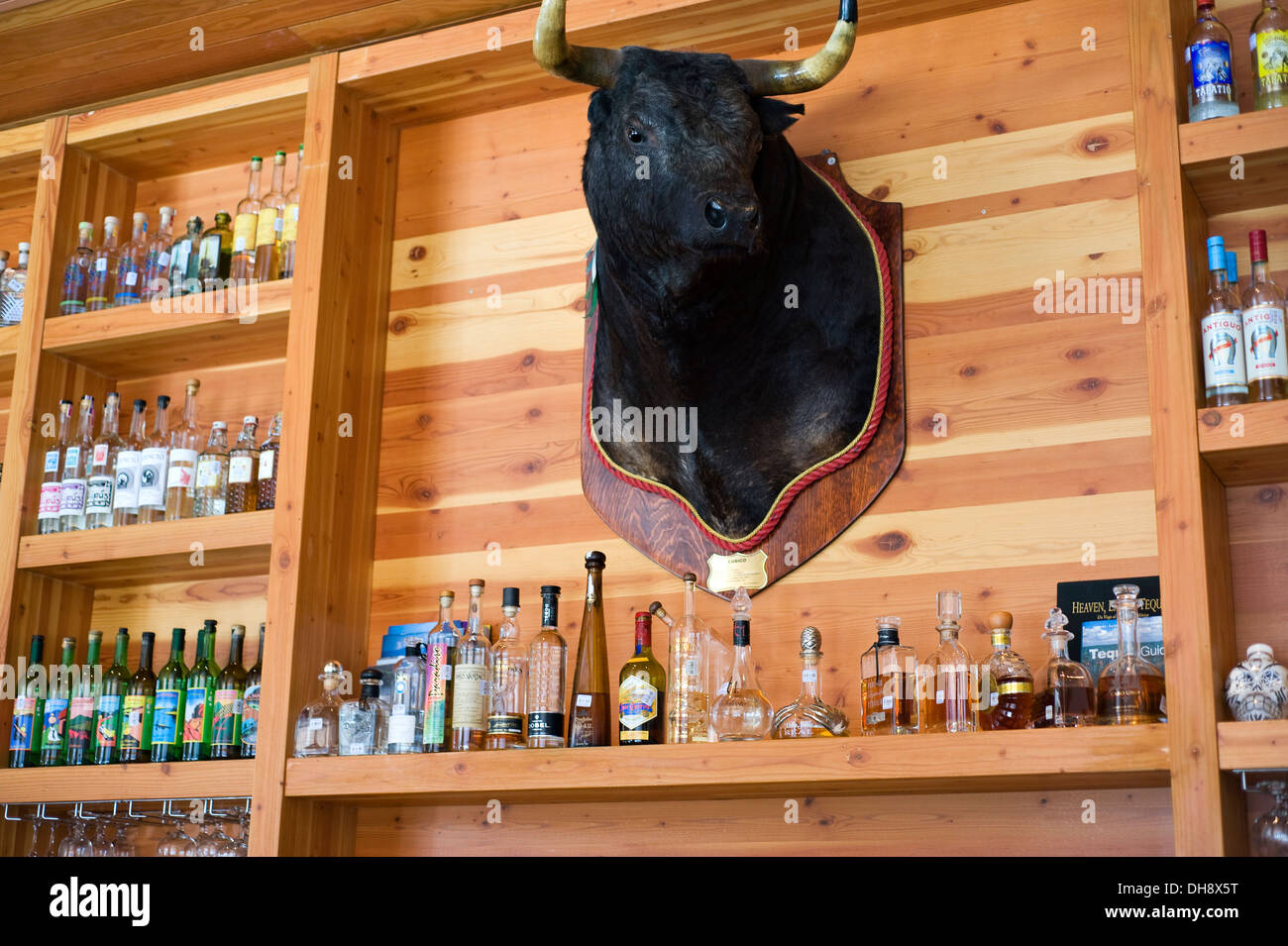 Restaurant La Condesa in Austin, Texas Stockfoto