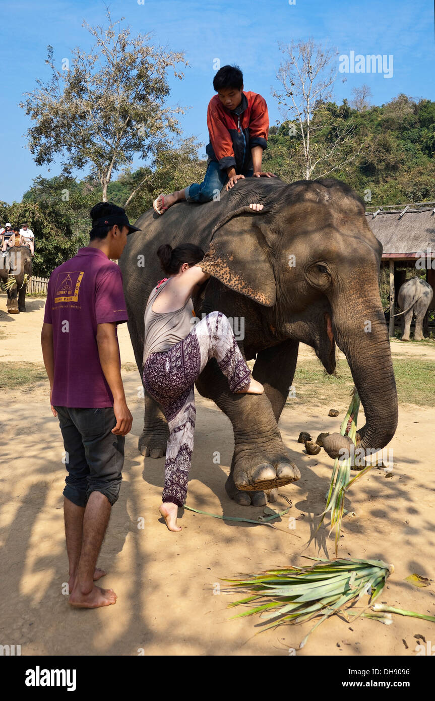 Vertikale Nahaufnahme eines westlichen Touristen, die Montage eines Elefanten die traditionellen Art und Weise ein Elefant Sanctuary in Laos. Stockfoto