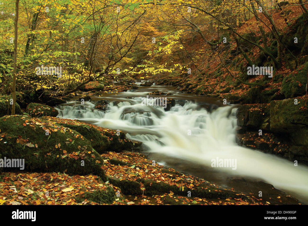 Birks Aberfeldy und Moness brennen im Herbst, Aberfeldy, Perthshire Stockfoto