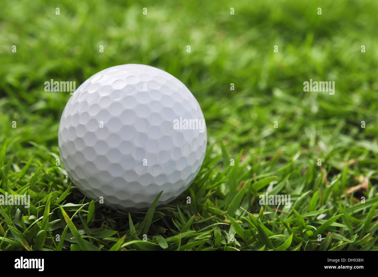 Golfball und Rasen Stockfoto