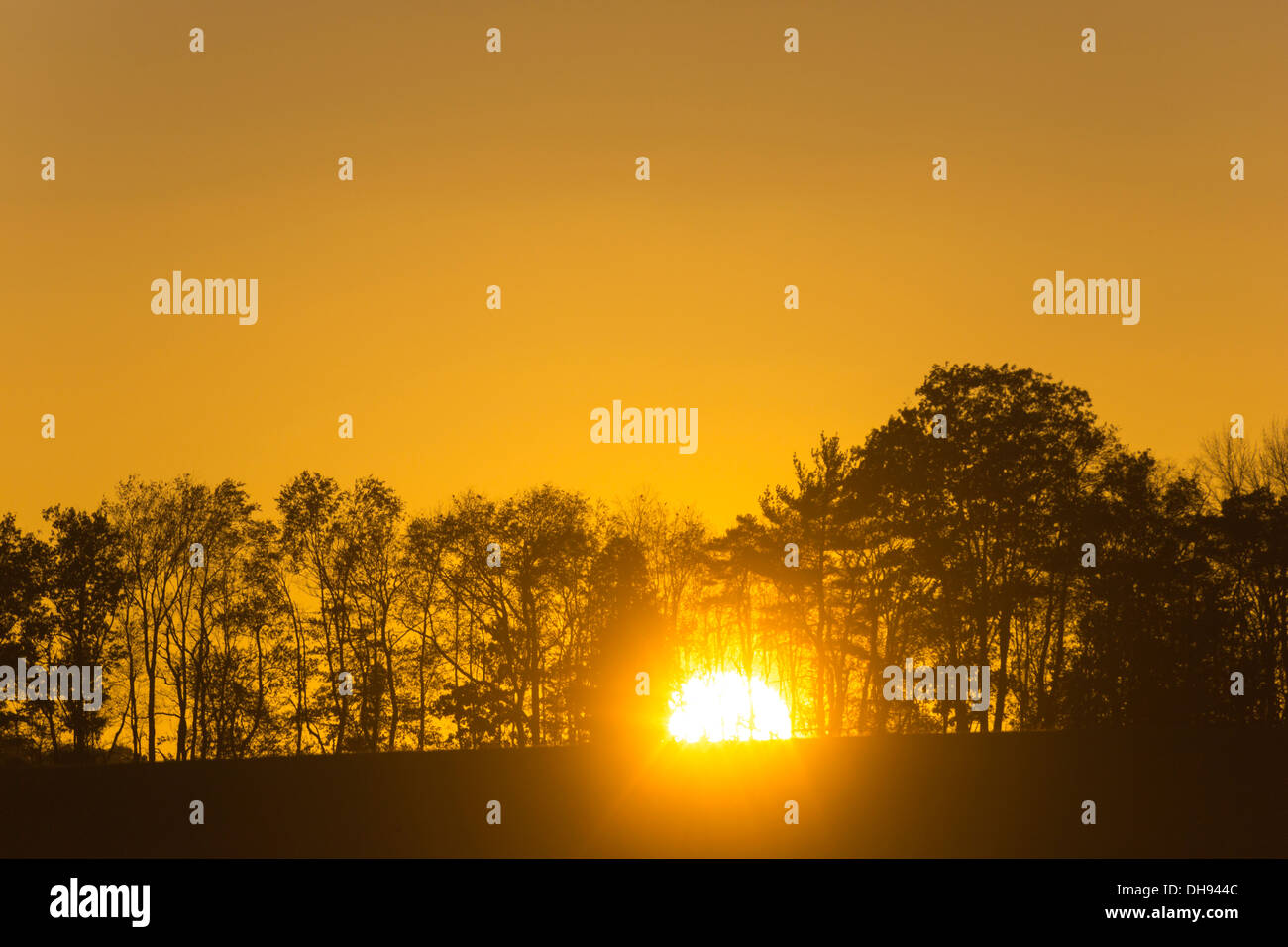 SONNENUNTERGANG ÜBER BERGRÜCKEN BÄUME JEFFERSON COUNTY PENNSYLVANIA USA Stockfoto