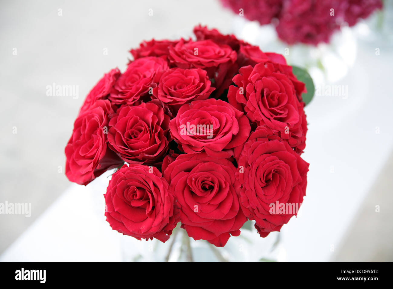 Rote Rosen Stockfoto