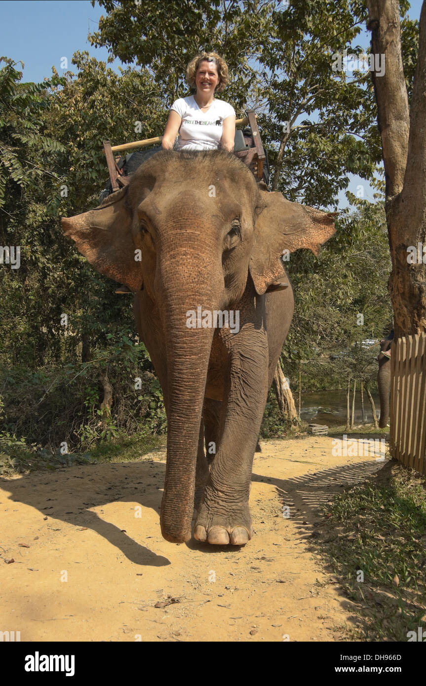 Vertikale Nahaufnahme eines westlichen Touristen auf ein Elefanten-Trekking in Laos. Stockfoto
