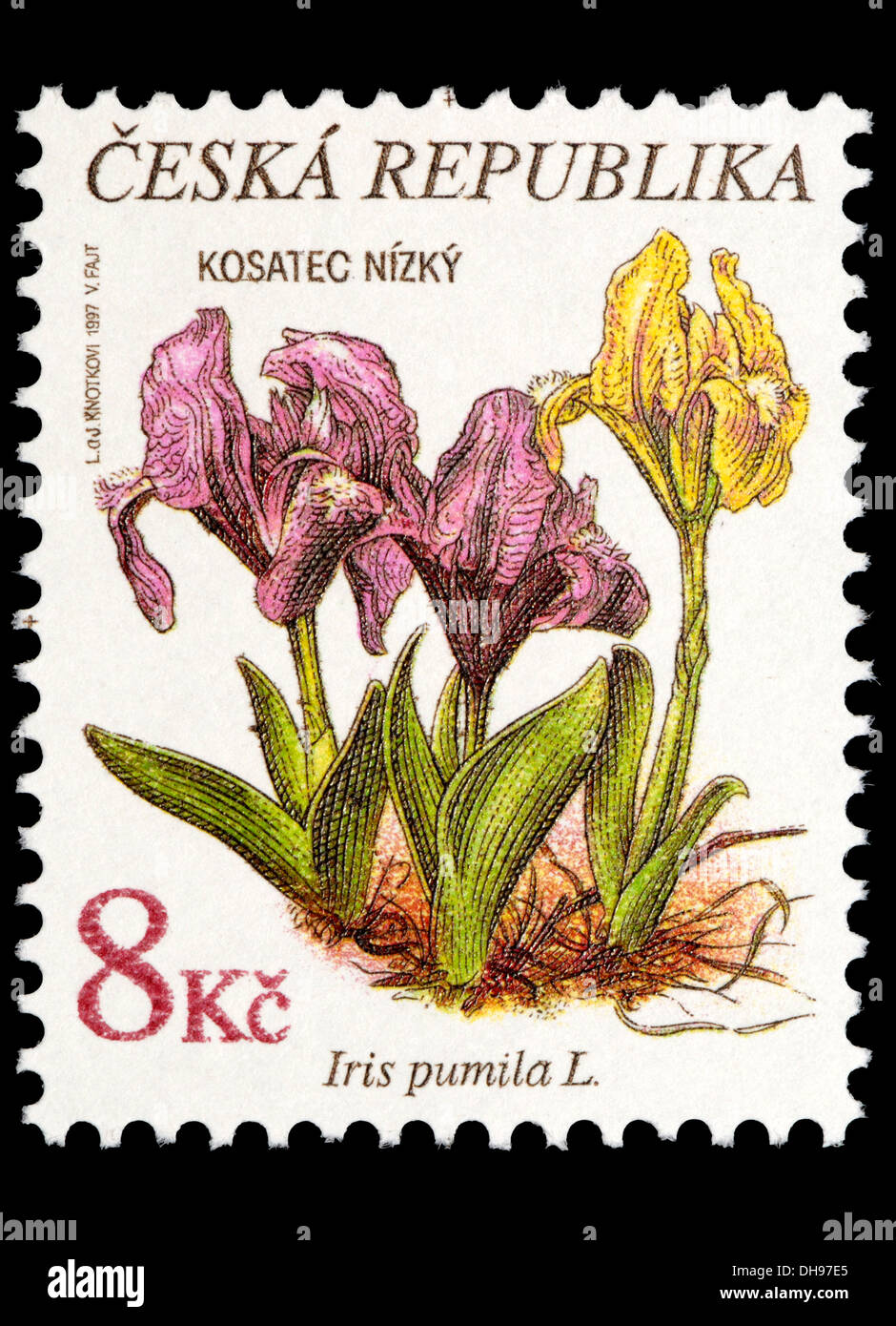 Tschechische Republik-Briefmarke: Blume - Iris Pumila Stockfoto