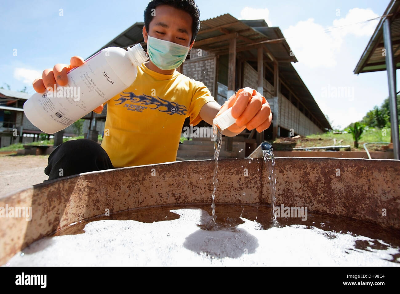 Landwirte In Bago während eines Ausbruchs der Vogelgrippe und H5N1, Reinigung und Desinfektion von Geräten; Yangon, Birma Stockfoto