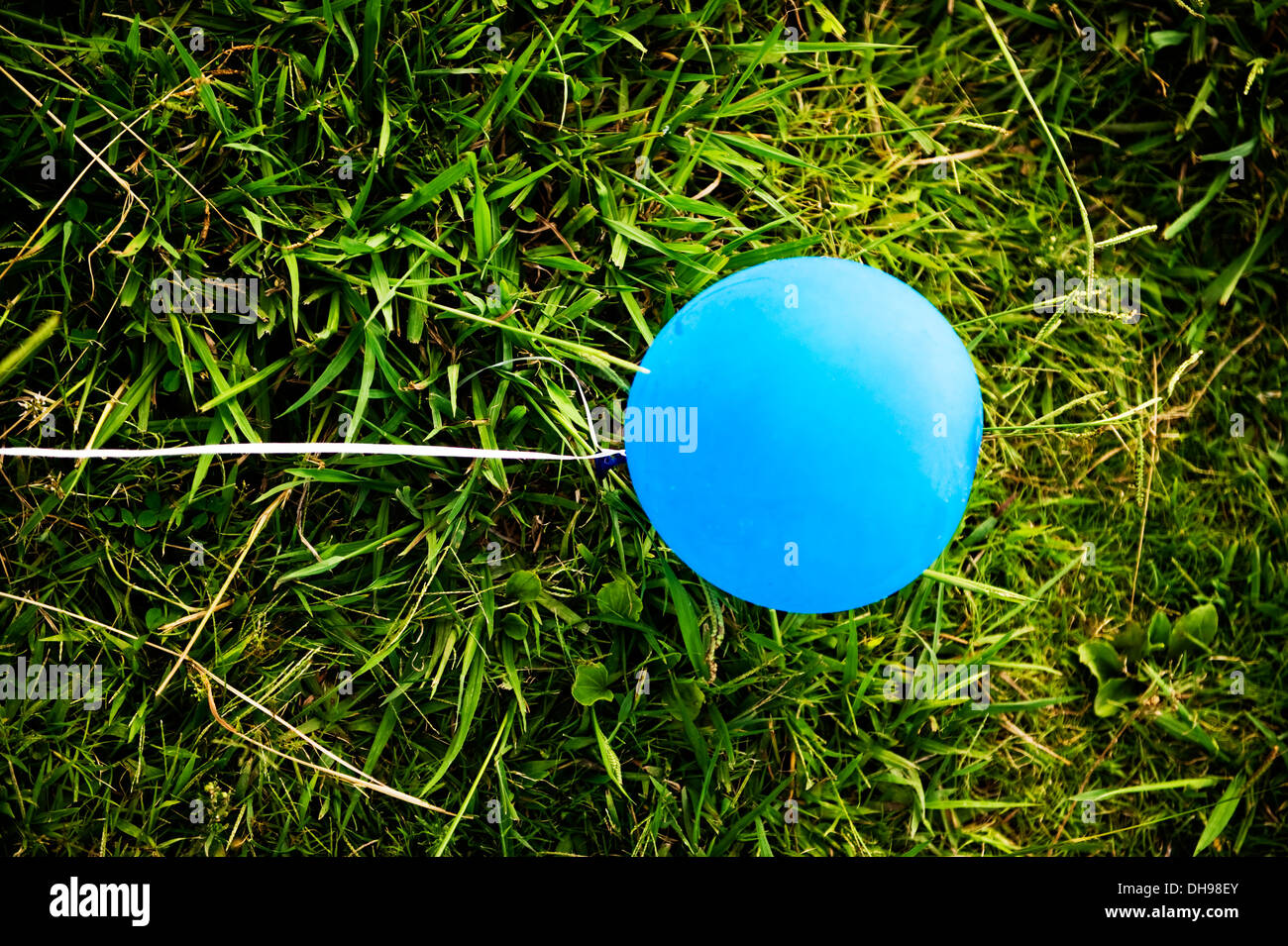 blauen Ballon mit einer Schnur auf dem grünen Rasen. Stockfoto
