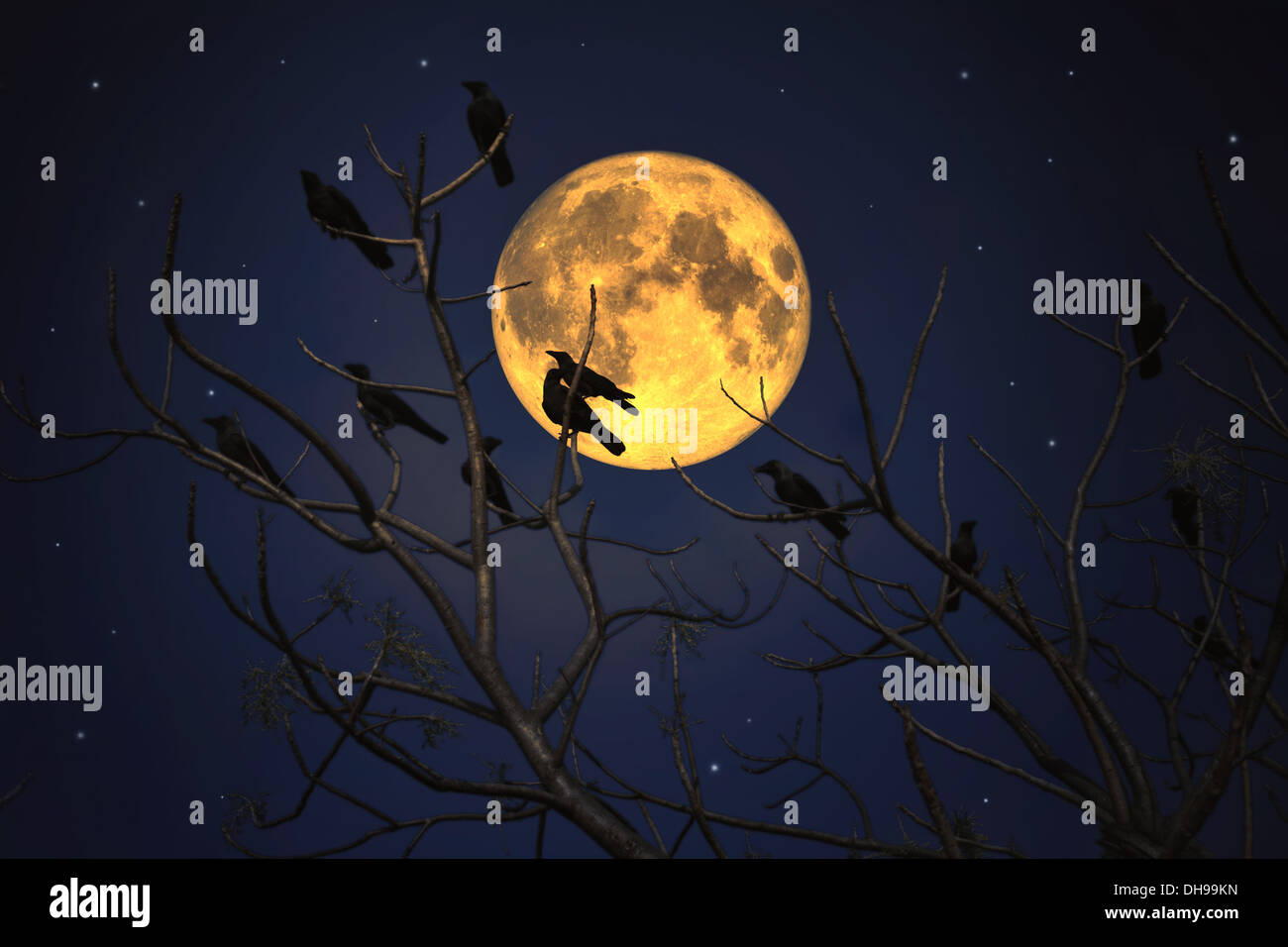 Gruppe von Krähen auf einem Ast gegen einen Vollmond. Halloween-Thema Stockfoto