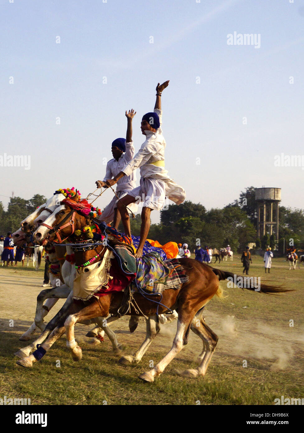 Traditionelle Sikh Krieger, bekannt als "Nihangs" fahren zwei Sätze von Pferden während einer "Mohalla" oder eine Demonstration der militärischen Fähigkeiten. Stockfoto