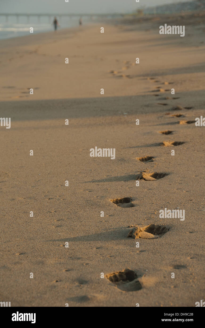 Fußspuren im Sand werfen bei Tagesanbruch am Manhattan Beach in Kalifornien lange Schatten. (USA) Stockfoto