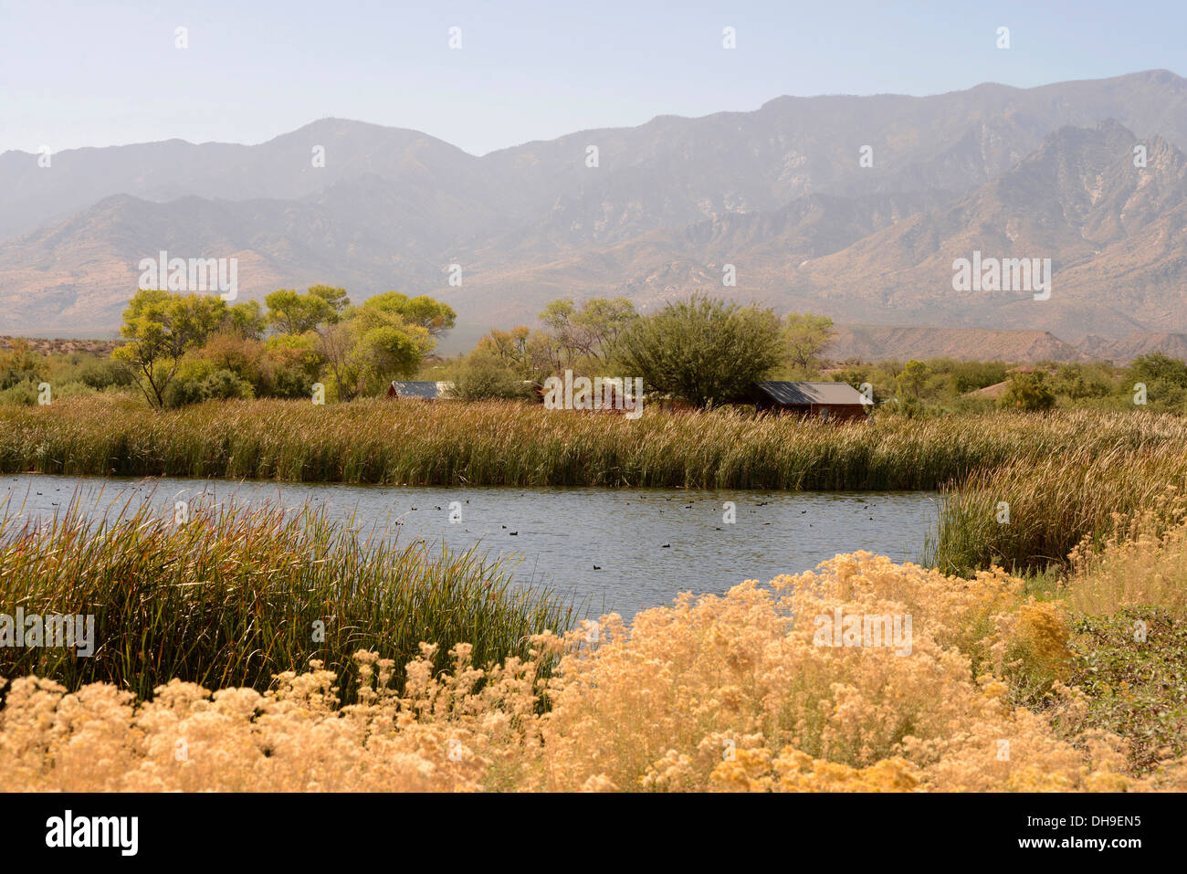 Mieten Hütten säumen Roper Lake im Roper Lake State Park in Graham County, Safford, Arizona, USA. Stockfoto