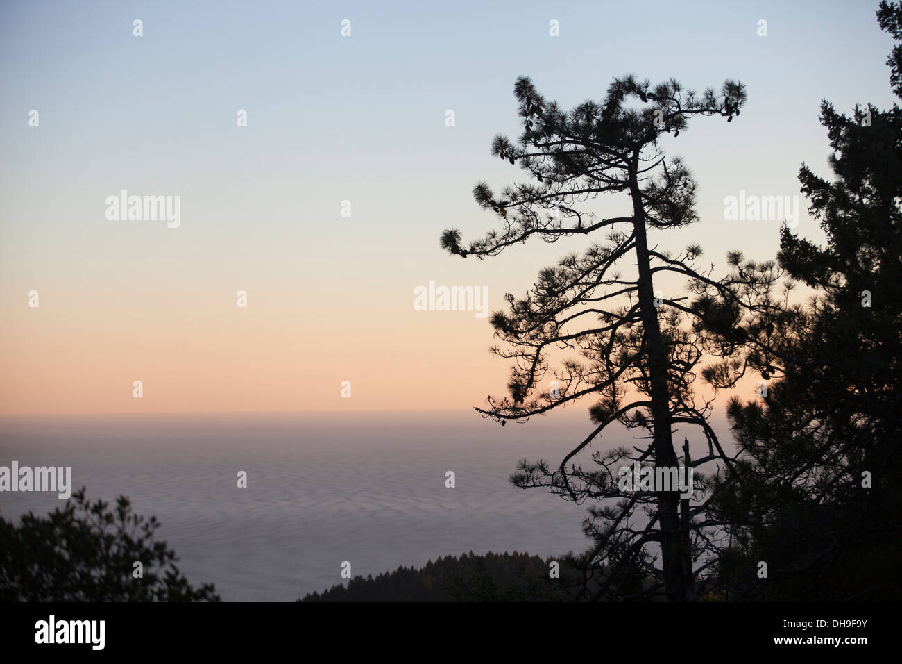 Blick auf den Ozean von East Ridgecrest Boulevard, Mount Tamalpais State Park, Marin County, California, Vereinigte Staaten von Amerika, Nord bin Stockfoto