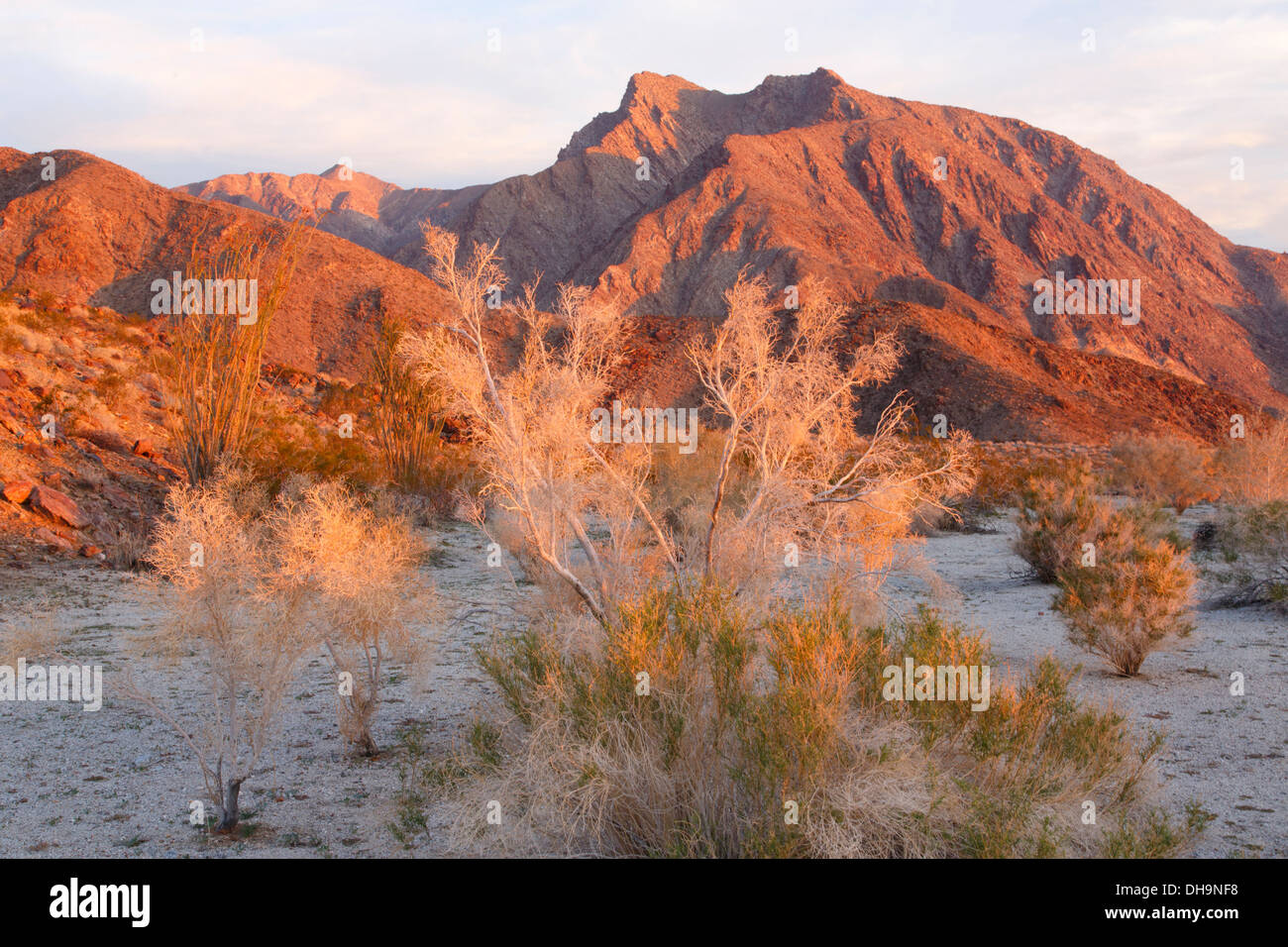 Anza borrego sonnenaufgang Fotos und Bildmaterial in hoher Auflösung