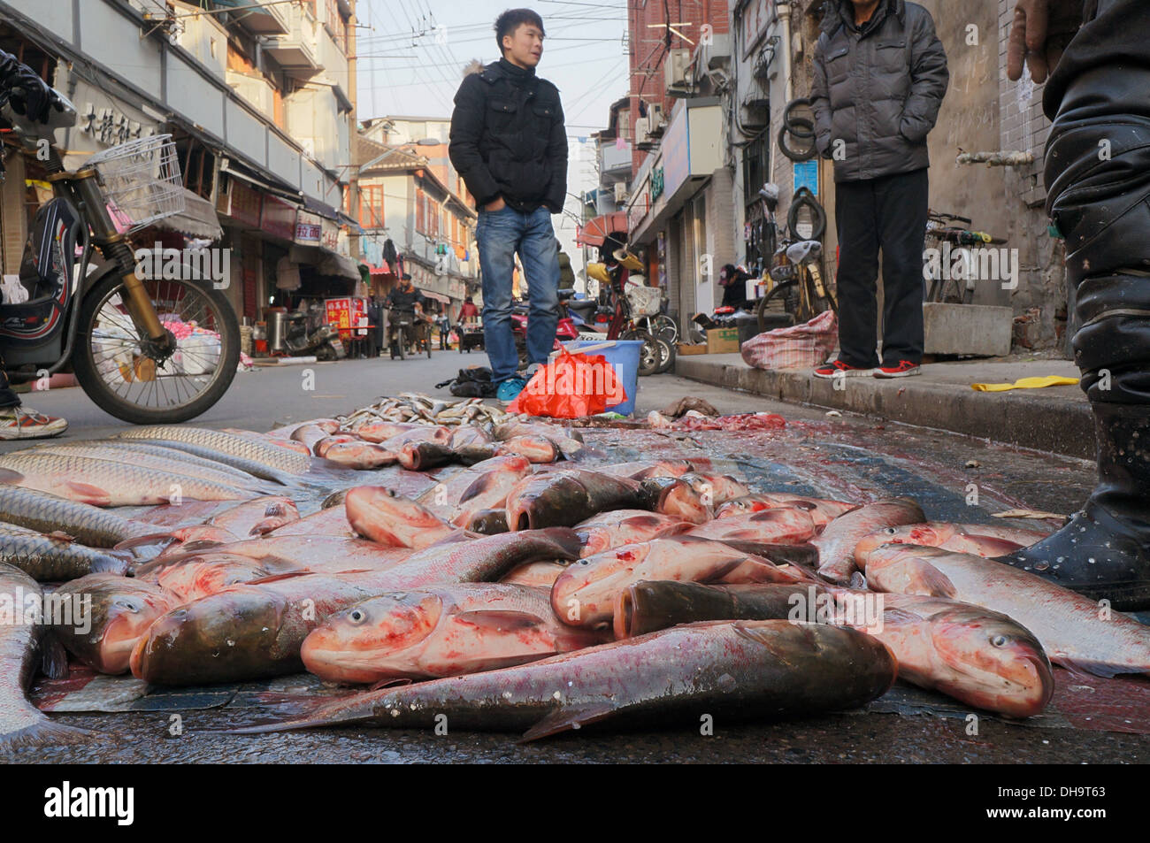 Fisch zum Verkauf in Shanghai, China Stockfoto