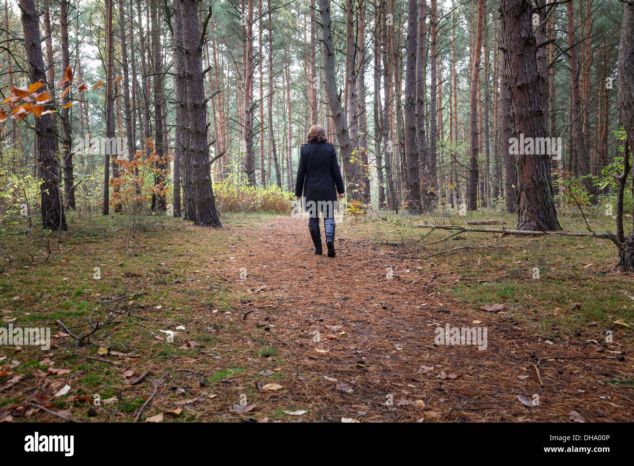 Frau alleine im Wald spazieren Stockfoto