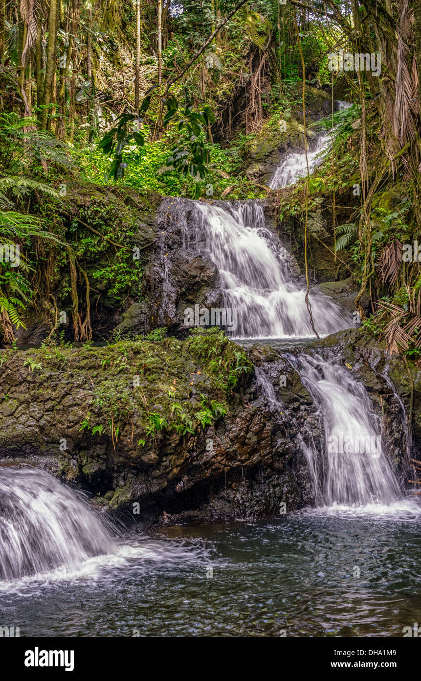 Hawaii botanischen Garten Wasserfall auf der großen Insel HI-USA Stockfoto