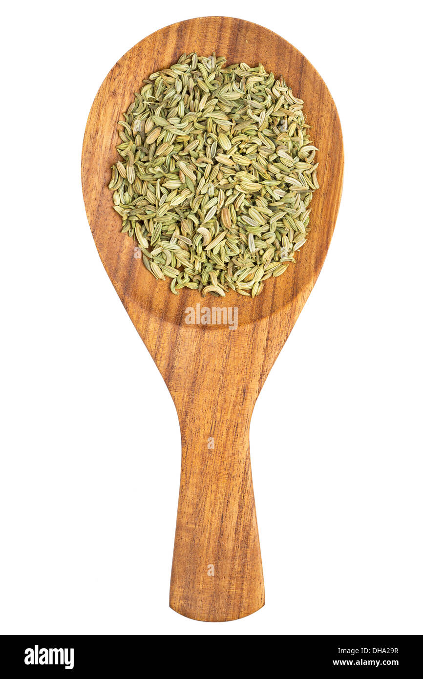 Fenchelsamen (Foeniculum Vulgare) in den Kochlöffel auf weißem Hintergrund Stockfoto