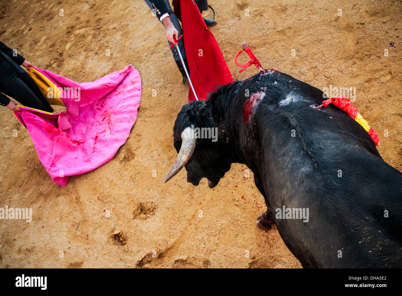 Stierkampf in Mijas, Spanien Stockfoto