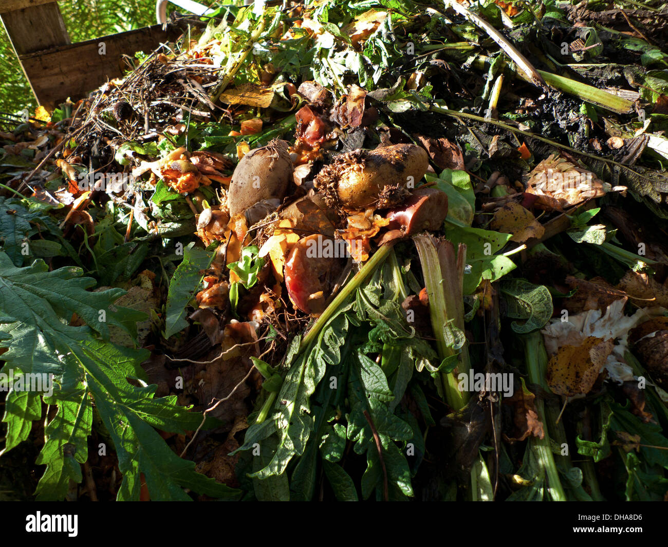 Organische Küche pflanzliche Abfälle in einer Kompostierung bin im Garten im Herbst, Carmarthenshire, Dyfed Wales UK KATHY DEWITT Stockfoto