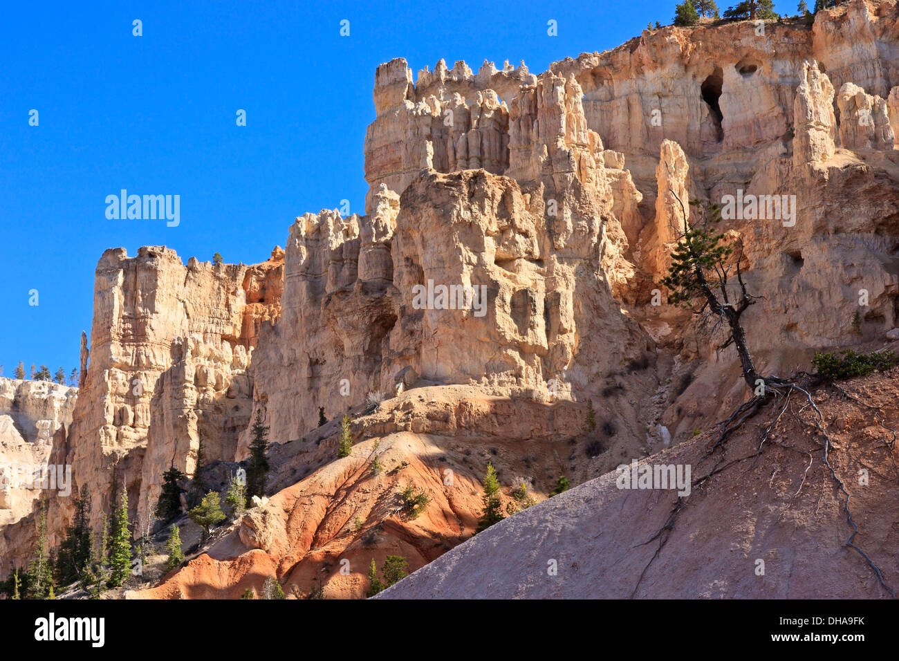 Weiße Hoodoo Kalksteinfelsen erinnern an einem weißen Schloss am Bryce-Canyon-Nationalpark, Utah Stockfoto