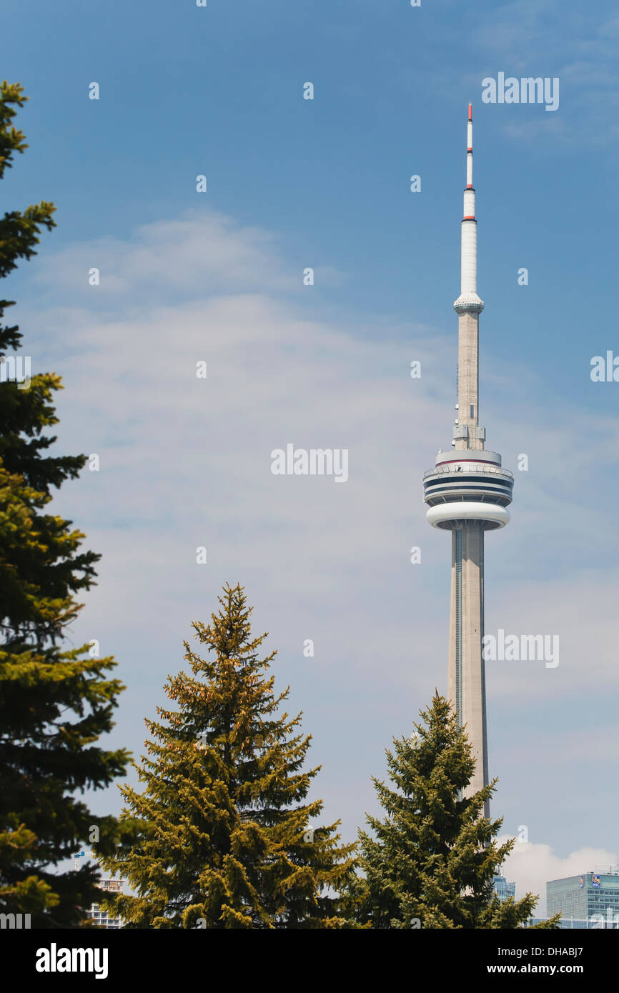 CN Tower mit immergrünen Bäumen, blauer Himmel und Wolken umrahmt; Toronto, Ontario, Canada Stockfoto