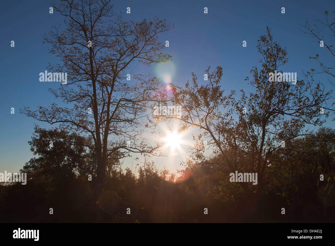 Sonnenuntergang in Herbstnachmittag Stockfoto
