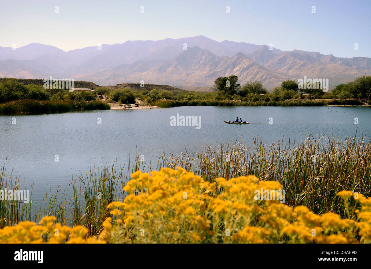 Kajakfahrer durchqueren Roper Lake im Roper Lake State Park in Graham County, Safford, Arizona, USA. Stockfoto